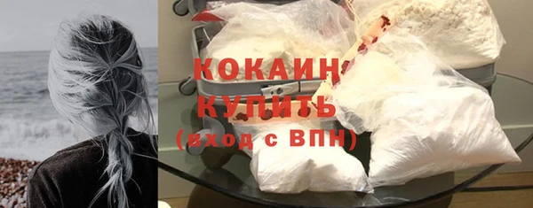 PSILOCYBIN Нязепетровск
