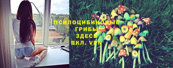PSILOCYBIN Нязепетровск