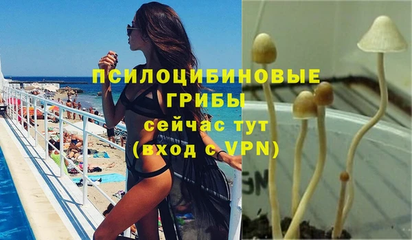 не бодяженный Няндома