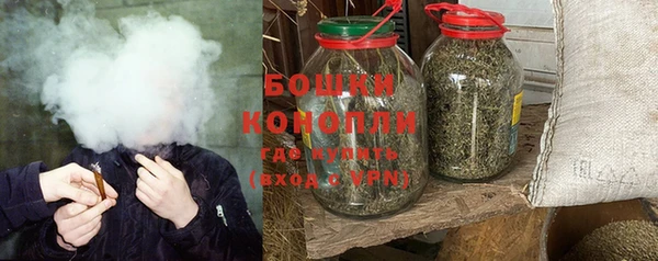 PSILOCYBIN Нязепетровск