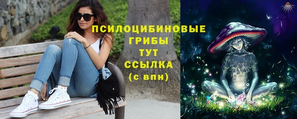 PSILOCYBIN Нязепетровск