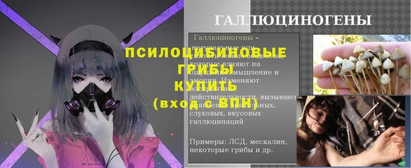 PSILOCYBIN Нязепетровск